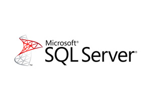 SQL Server logo