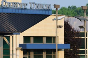 Mutual Organizations