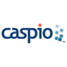 Caspio Small Plan (1-year subscription)